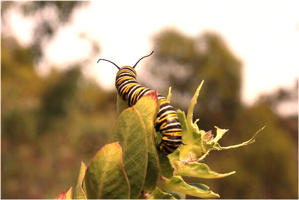 夢到自己開車斷腿有什麼徵兆_周公解夢官網