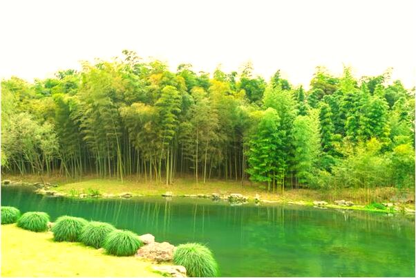 夢到棺材從靈車掉出來死人復活是好的徵兆嗎_周公解夢官網