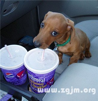 十二星座的小名都叫什麼_十二星座