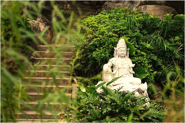 夢到開車掉頭會是什麼預兆_周公解夢官網