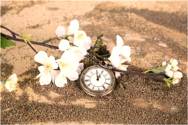 夢見摘桃子和大紅棗意味著什麼_周公解夢官網