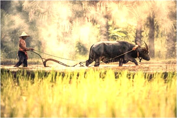 夢到了自己在船上四周都是海什麼寓意_周公解夢官網