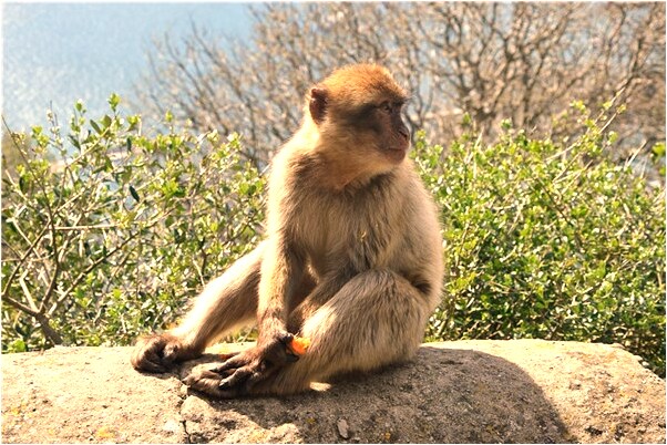 夢到與男友爸媽吵架是什麼意思_周公解夢官網