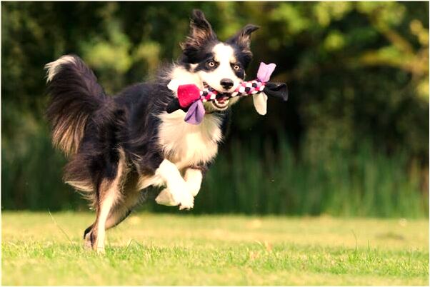 夢見旅遊吃大餐有什麼意思_周公解夢官網