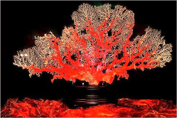 夢見錢財沒了是什麼意思_周公解夢官網