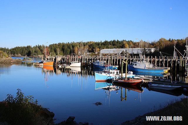 夢見孩子被狗咬了_周公解夢夢到孩子被狗咬了是什麼意思_做夢夢見孩子被狗咬了好不好_周公解夢官網