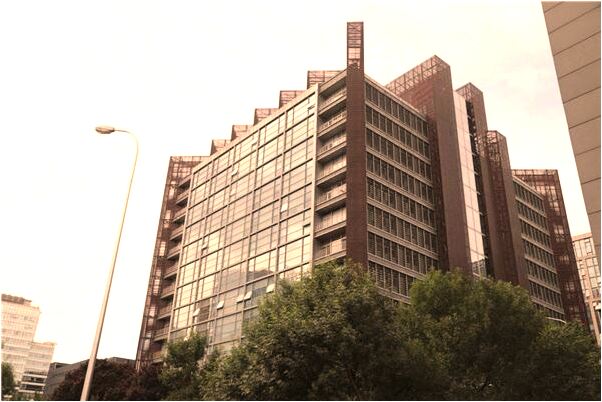 夢到了大雞拉屎是好的徵兆嗎_周公解夢官網