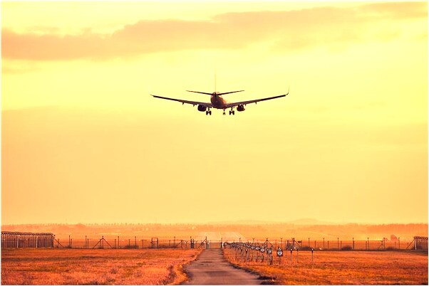 夢到了看見黃鼠狼預示什麼_周公解夢官網