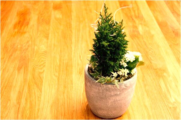 夢到了親近的人脖子是斷的什麼寓意_周公解夢官網