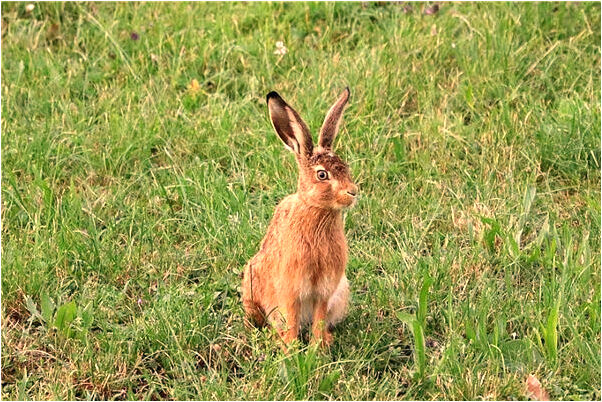 夢到吐口水怎么說_周公解夢官網