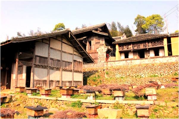 夢到了熊桂英會是什麼預兆_周公解夢官網