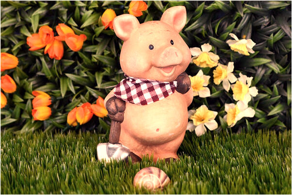 夢見摘紅桃子意味什麼_周公解夢官網