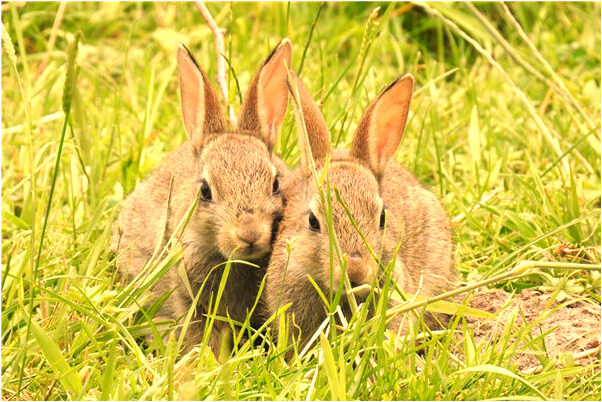夢見看見死人的陰莖有什麼含義_周公解夢官網
