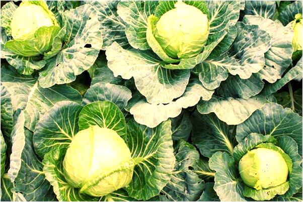 夢到了上課遲到有什麼寓意嗎？_周公解夢官網