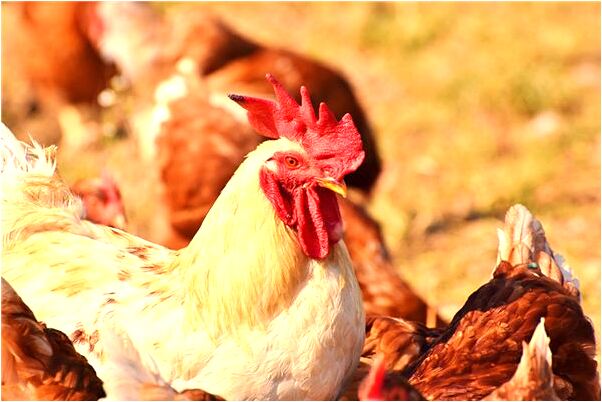 夢到了自己流出乳汁什麼預兆_周公解夢官網