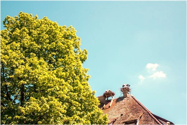 夢到女人被人追趕有什麼寓意嗎_周公解夢官網