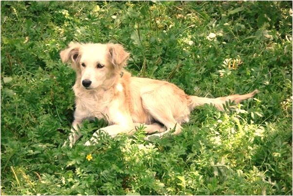 夢到自己和死人說話有什麼意思嗎_周公解夢官網