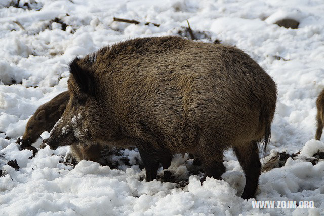 夢見女人穿棉褲_周公解夢夢到女人穿棉褲是什麼意思_做夢夢見女人穿棉褲好不好_周公解夢官網