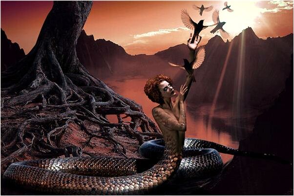 夢到了三條蛇咬死獅子有什麼含義_周公解夢官網