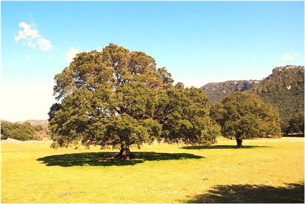 夢到和你老婆做愛預兆了什麼嗎_周公解夢官網