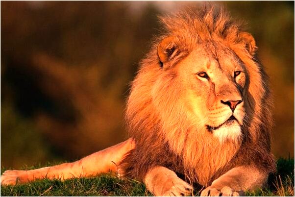 夢見自己內衣被吹到河裡了是啥意思_周公解夢官網