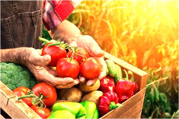 夢見馬救了我意味著什麼_周公解夢官網