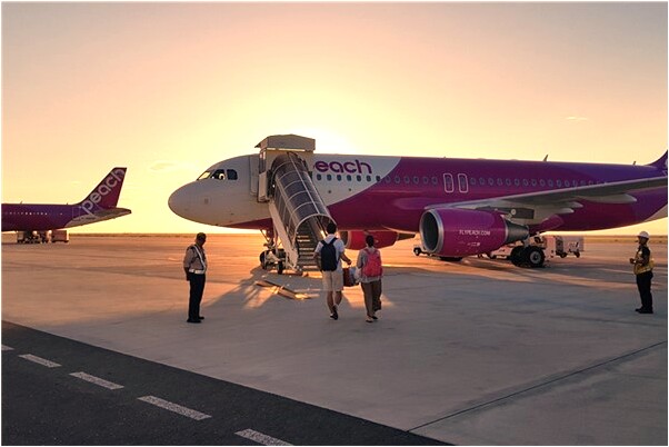 夢到特別大的神龜意味著什麼_周公解夢官網