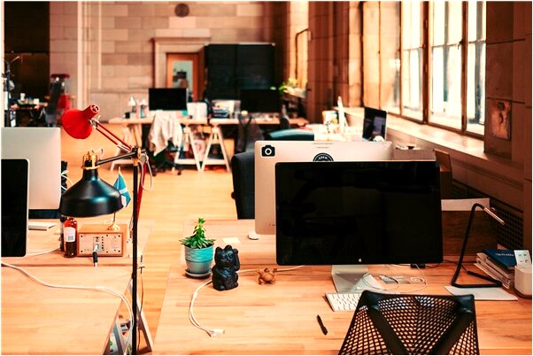 夢見大兔子有什麼意思嗎_周公解夢官網