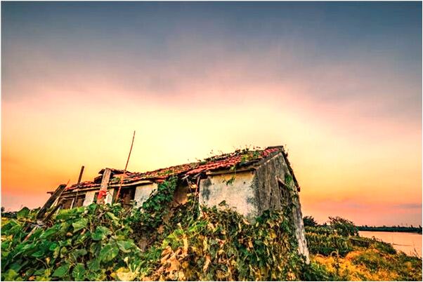 夢到了別人看了我的日記是好是壞_周公解夢官網