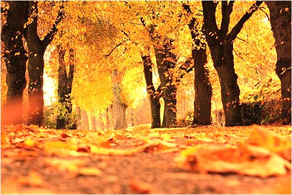 夢見紅色床單怎么樣_周公解夢官網