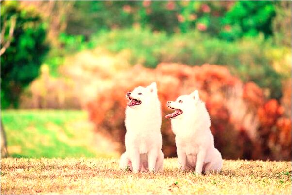 夢到了坐火車晚到幾秒鐘是什麼啟示_周公解夢官網