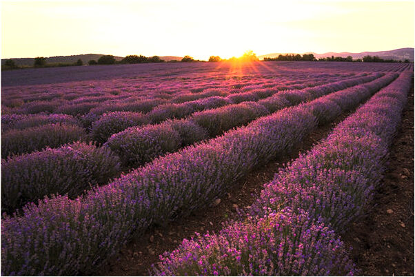 夢見模糊的男人的預兆_周公解夢官網