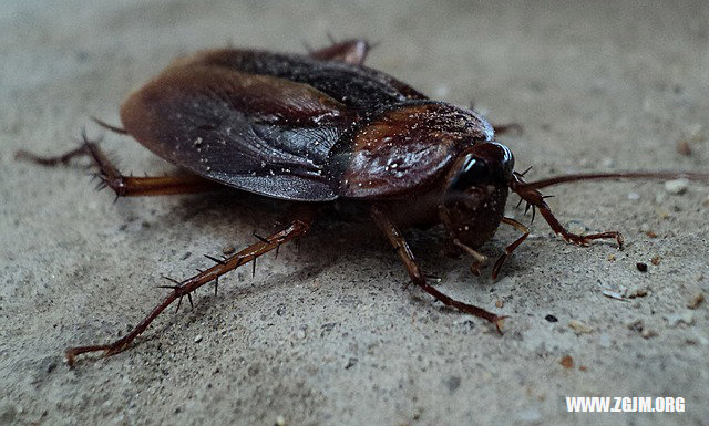 夢見陌生人打架_周公解夢夢到陌生人打架是什麼意思_做夢夢見陌生人打架好不好_周公解夢官網