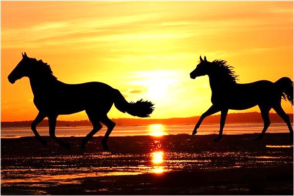 夢到大火連連是什麼意思_周公解夢官網