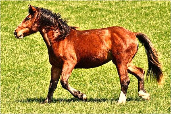 夢見國中同學裸體預兆了什麼嗎_周公解夢官網