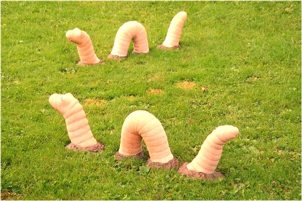 夢見白熊皮預示了什麼_周公解夢官網