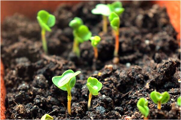 夢到夢兩個人跳舞了是什麼預兆_周公解夢官網