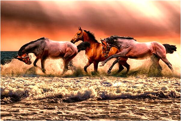 夢到了已去逝的外婆好不好_周公解夢官網