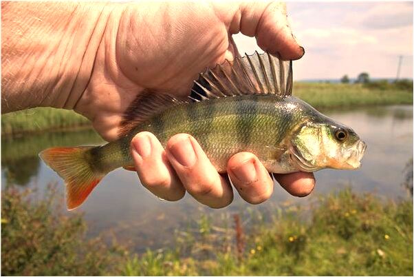 夢見在寺廟裡遇到了人假扮的鬼是怎么回事_周公解夢官網