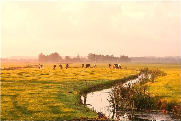 夢到了夢裡熟人從高處摔死會是什麼預兆_周公解夢官網