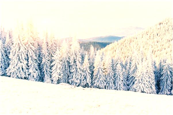 夢見被前上司面試啥意思_周公解夢官網