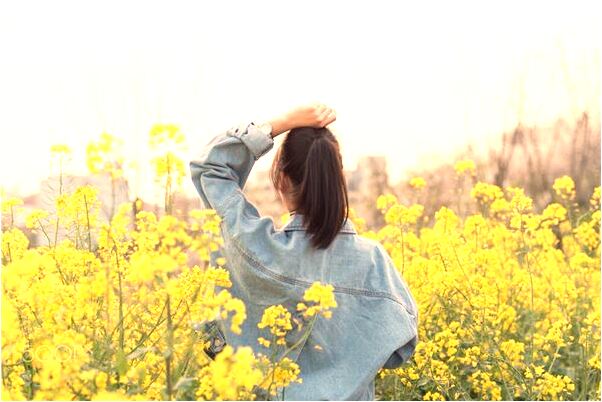 夢到迷路被狗咬是好是壞_周公解夢官網