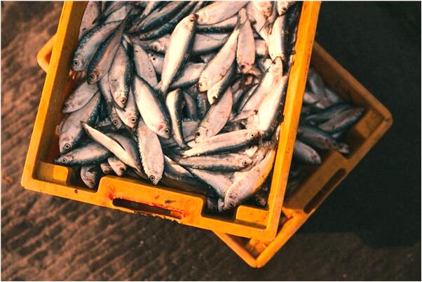 夢見梳妝打扮穿上婚紗有什麼預示嗎_周公解夢官網