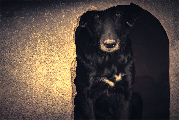 夢到和軍隊一起去戰鬥怎么樣_周公解夢官網