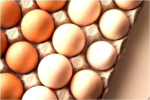 夢到了一條蛇被媽媽踩死了意味著什麼_周公解夢官網