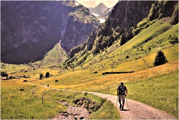 夢到朋友怪怪好不好_周公解夢官網