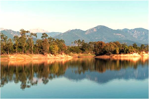 夢到碎鵝蛋會怎么樣_周公解夢官網