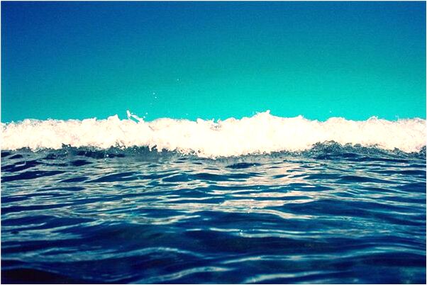 夢到對蘭花開會是什麼預兆_周公解夢官網