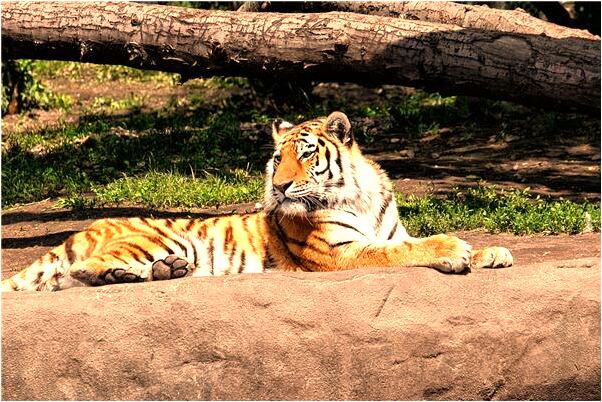 夢到我討厭的人要和我做愛是凶兆還是吉兆_周公解夢官網