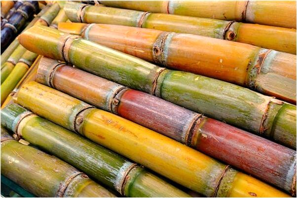 夢見長的黑的人有什麼意義嗎_周公解夢官網